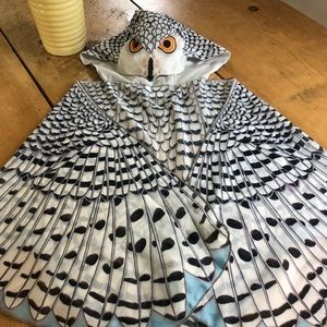 Owl cape
